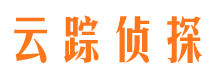 青云谱市调查公司